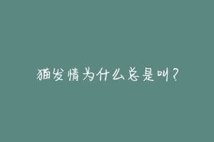 猫发情为什么总是叫?