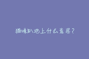 猫咪趴地上什么意思?