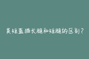 英短蓝猫长腿和短腿的区别?