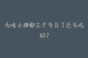 为啥小猫都三个多月了还在吃奶?