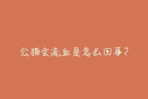 公猫会流血是怎么回事?