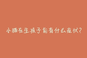 小猫在生孩子前有什么症状？