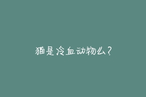 猫是冷血动物么?
