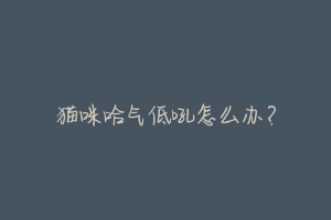 猫咪哈气低吼怎么办?