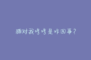 猫对我哼哼是咋回事?