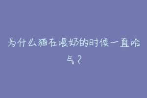 为什么猫在喂奶的时候一直哈气?
