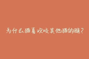 为什么猫喜欢咬其他猫的腿？