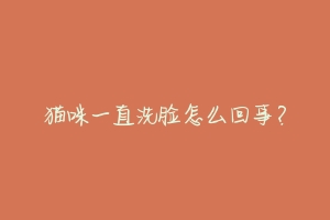 猫咪一直洗脸怎么回事？