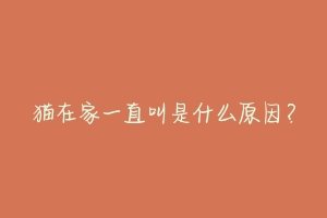 猫在家一直叫是什么原因？