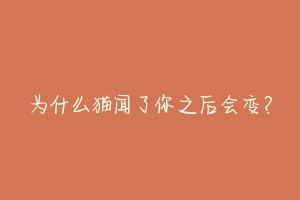 为什么猫闻了你之后会变？