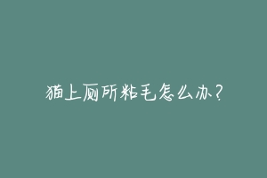 猫上厕所粘毛怎么办?