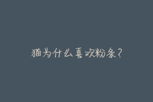 猫为什么喜欢粉条?