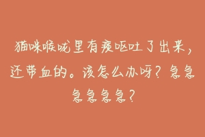 猫咪喉咙里有痰呕吐了出来,还带血的。该怎么办呀?急急急急急急?