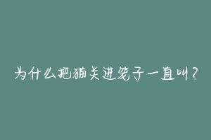 为什么把猫关进笼子一直叫?