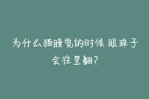 为什么猫睡觉的时候 眼珠子会往里翻?