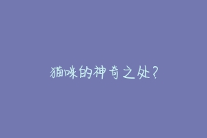 猫咪的神奇之处?