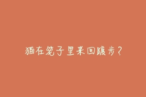 猫在笼子里来回踱步?