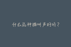 什么品种猫叫声好听?