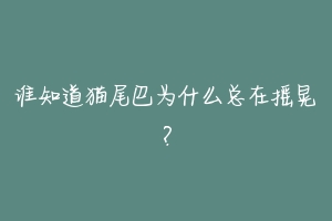 谁知道猫尾巴为什么总在摇晃?