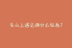 在山上遇见猫什么征兆？