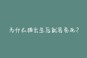 为什么猫出生后就容易死?