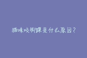 猫咪咬脚踝是什么原因?
