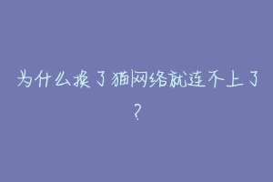 为什么换了猫网络就连不上了?