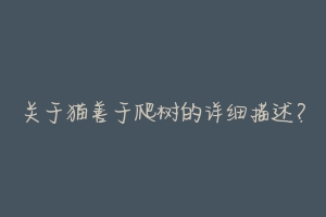 关于猫善于爬树的详细描述?