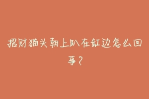招财猫头朝上趴在缸边怎么回事?