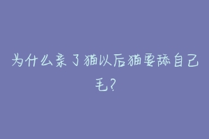 为什么亲了猫以后猫要舔自己毛?