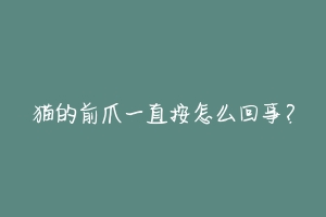 猫的前爪一直按怎么回事?
