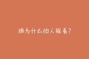 猫为什么怕人躲着?