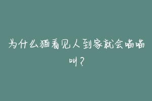 为什么猫看见人到家就会喵喵叫?