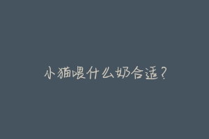 小猫喂什么奶合适?