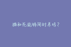猫和花能够同时养吗?