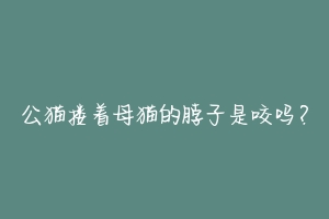 公猫搂着母猫的脖子是咬吗?