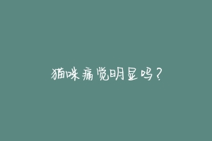 猫咪痛觉明显吗?