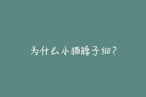 为什么小猫脖子细?