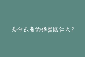 为什么有的猫黑眼仁大?