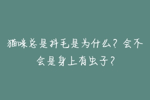 猫咪总是抖毛是为什么?会不会是身上有虫子?