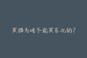 买猫为啥不能买东北的?