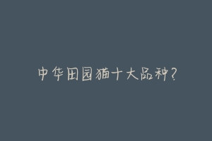 中华田园猫十大品种?