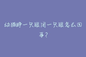 幼猫睁一只眼闭一只眼怎么回事?