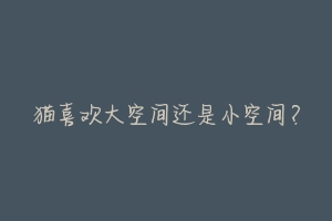 猫喜欢大空间还是小空间?