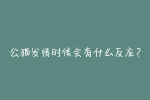 公猫发情时候会有什么反应?