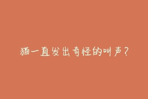 猫一直发出奇怪的叫声?