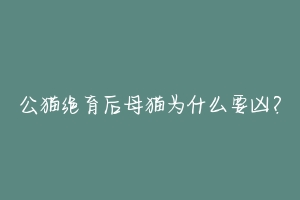 公猫绝育后母猫为什么要凶?