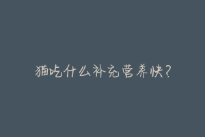 猫吃什么补充营养快?
