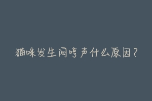 猫咪发生闷哼声什么原因?