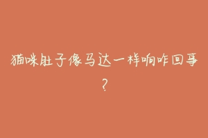 猫咪肚子像马达一样响咋回事?
